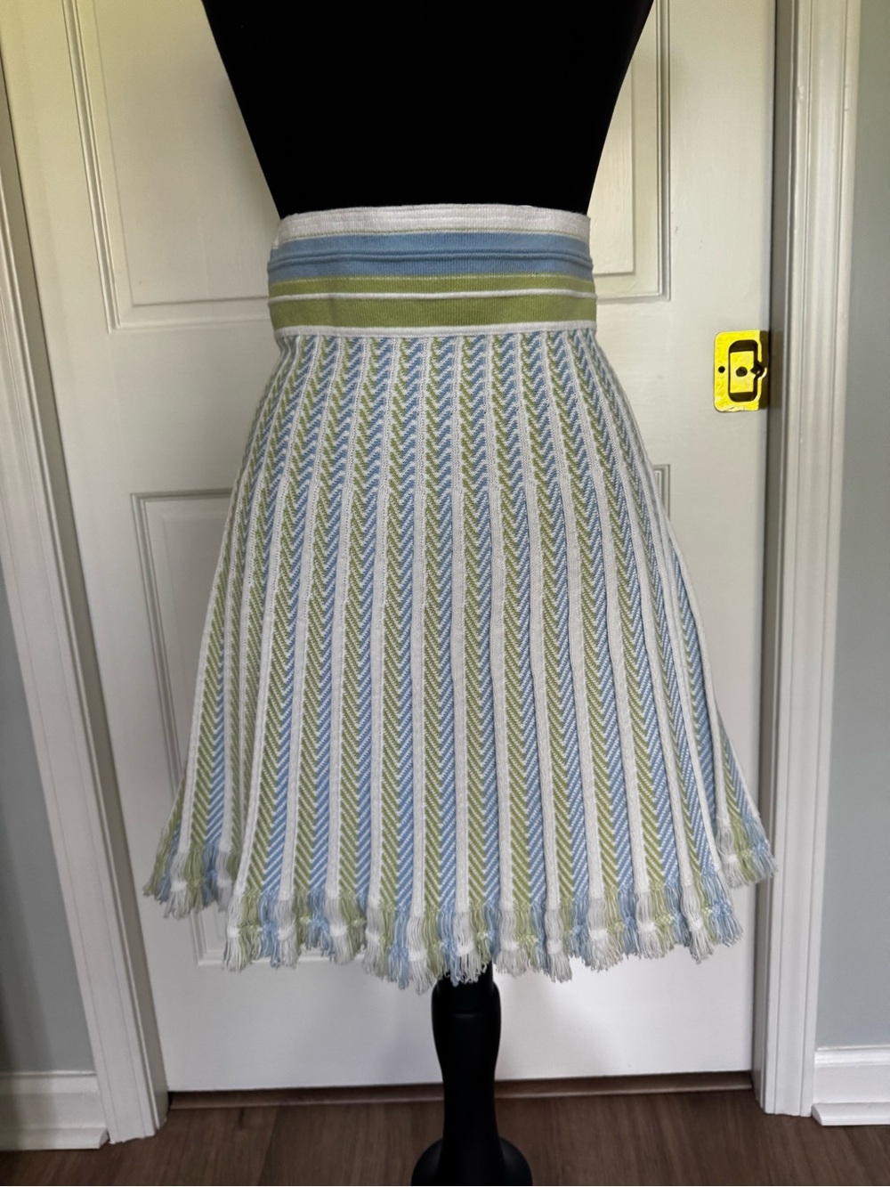 Striped A-Line Fringe Skirt in Light Blue and Light Green